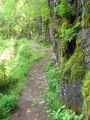 Stay on the path Stay on the path